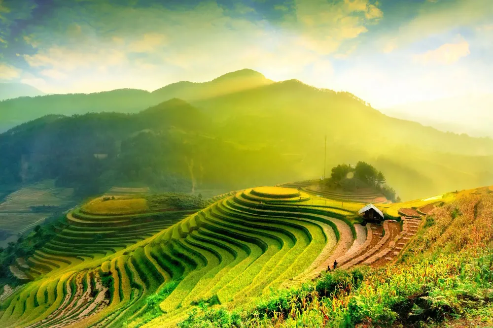 Terraced rice fields in YenBai, Vietnam